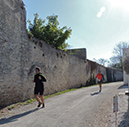 DSCN6786