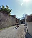 DSCN6809