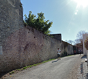 DSCN6766