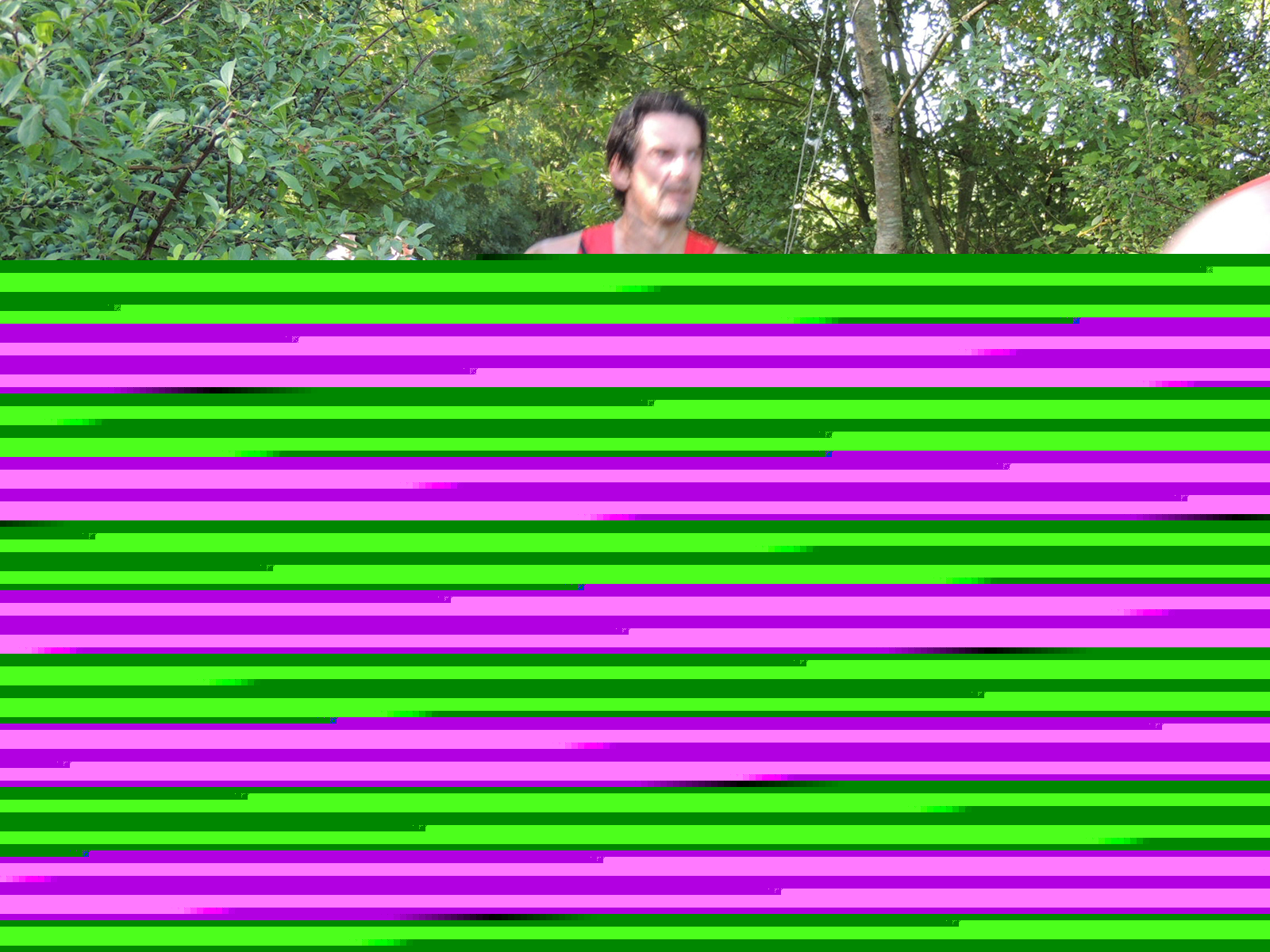 DSCN5153