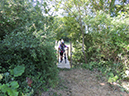 DSCN5272